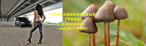 ECSTASY Алексин