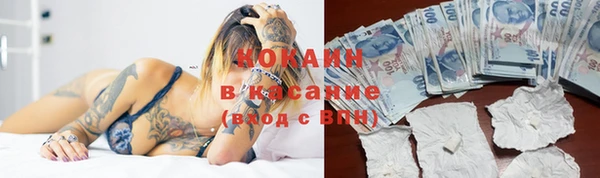 гашик Новодвинск