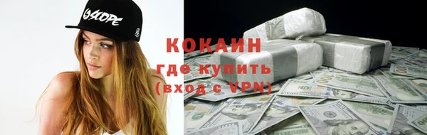прущий лед Алзамай