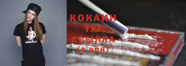 гашик Новодвинск