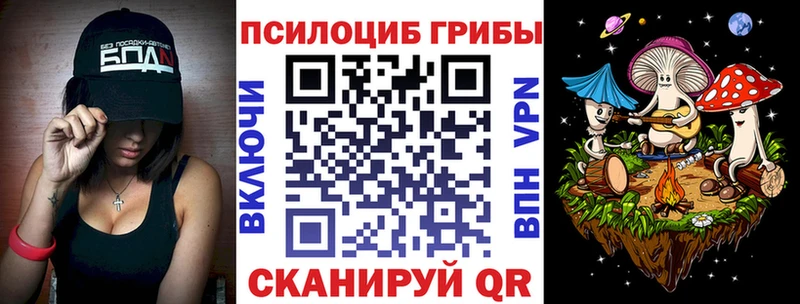 kraken сайт  Ставрополь  Псилоцибиновые грибы Psilocybe 