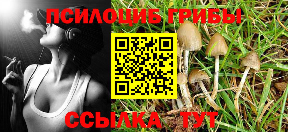 Галлюциногенные грибы Cubensis  Галлюциногенные грибы Magic Shrooms  Ставрополь  Вход с VPN 